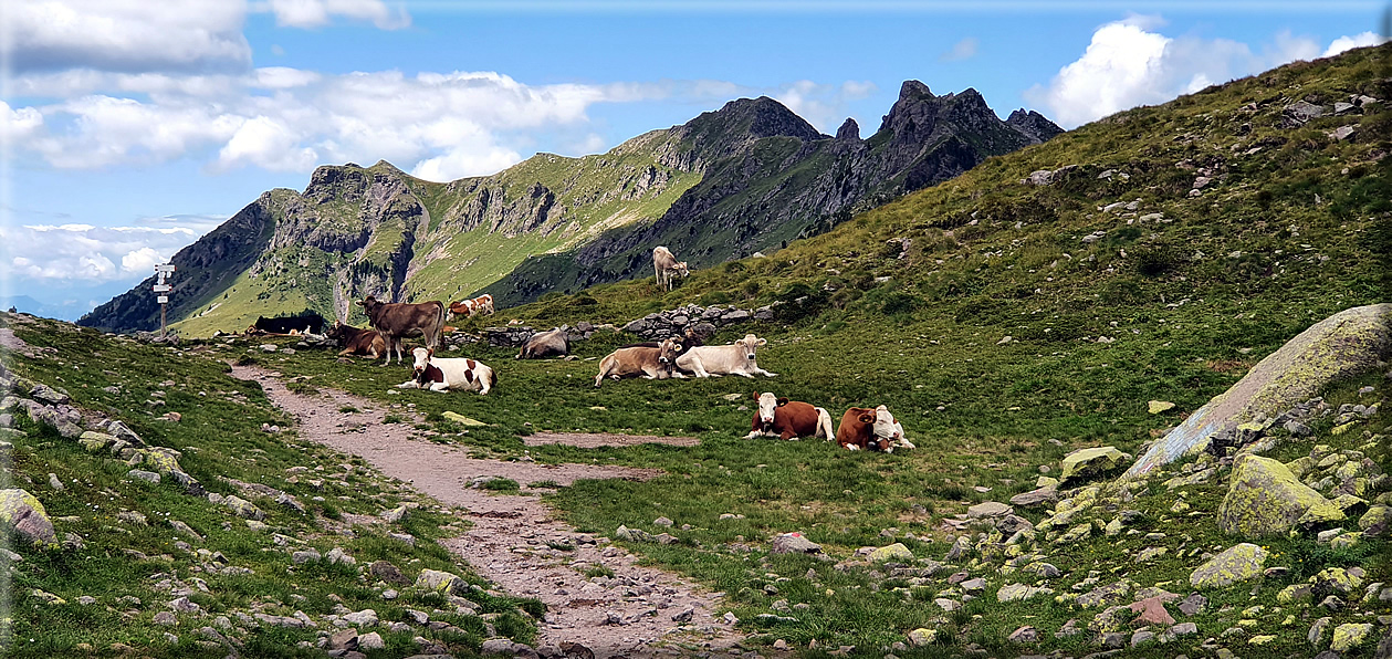 foto Forcella di Val Moena